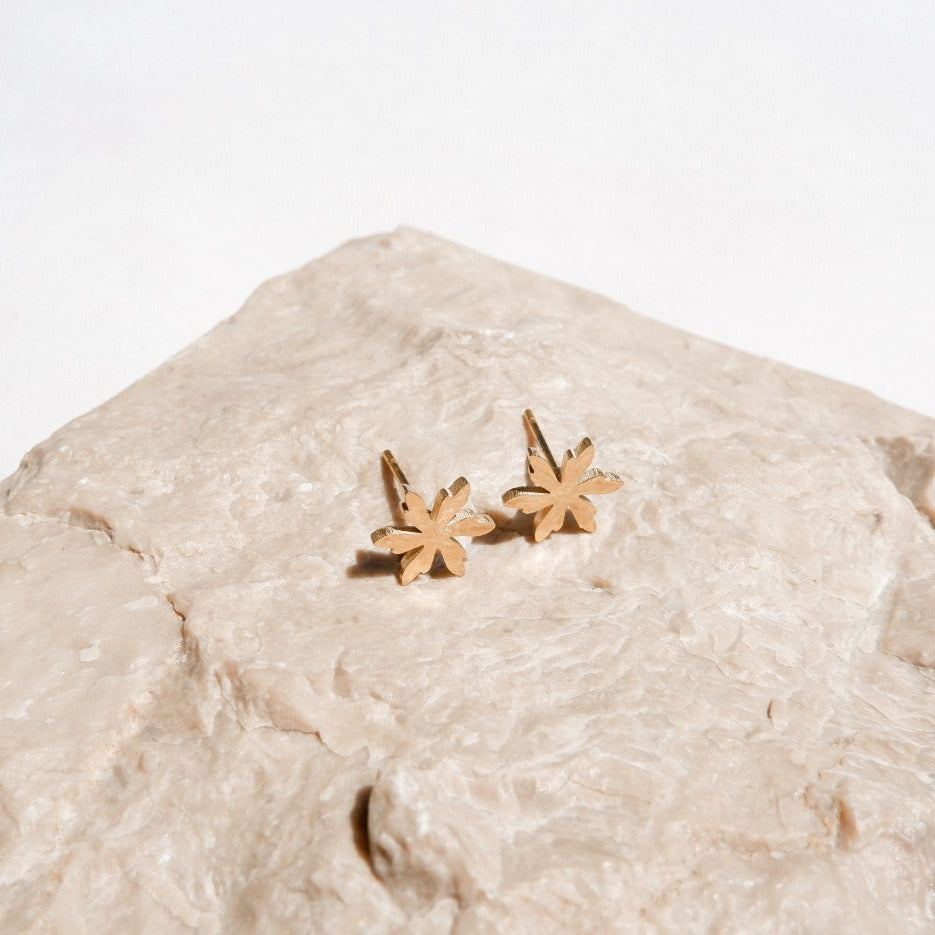 Eva Gold Stud Earrings by Andrea