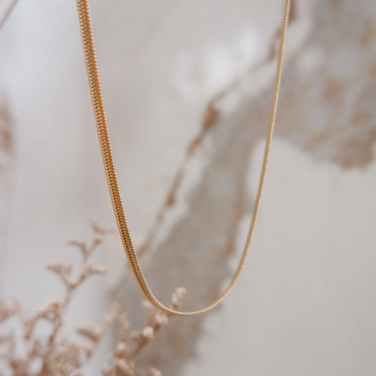 Esme Choker (16") Gold Necklace